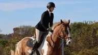 Equestrian Finishes Season With Strong Showing at Ivy Show