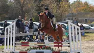 Equestrian Earns Two Individual Wins at Home Show