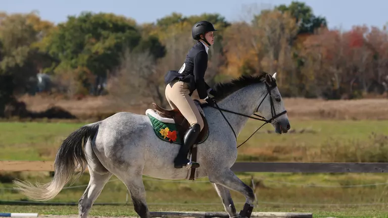 Equestrian Earns Two Wins at Johnson & Wales Show