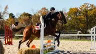 Equestrian Posts Six Top-Three Finishes at Home Show