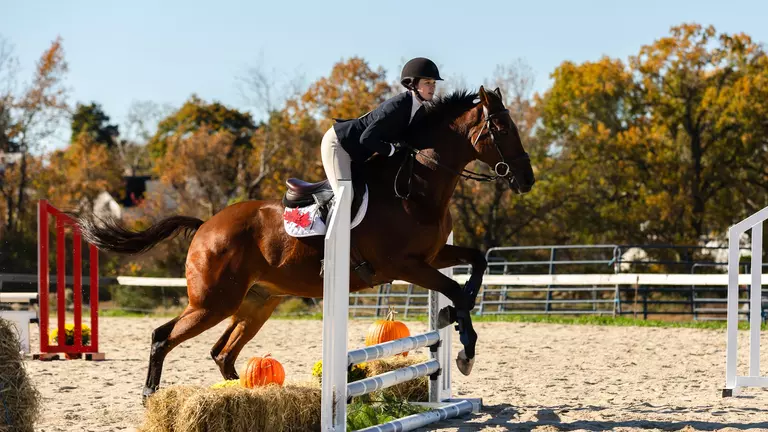 Equestrian Posts Six Top-Three Finishes at Home Show
