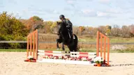 Brown Equestrian Hosts Home Show
