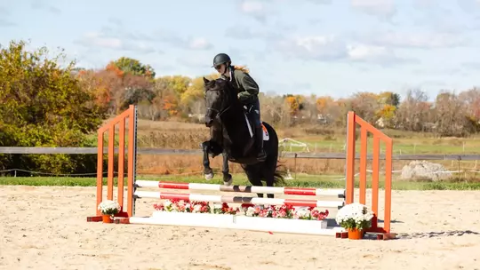 Brown Equestrian Hosts Home Show