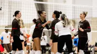 Volleyball Sweeps Princeton as Bears Dominate at Service Line