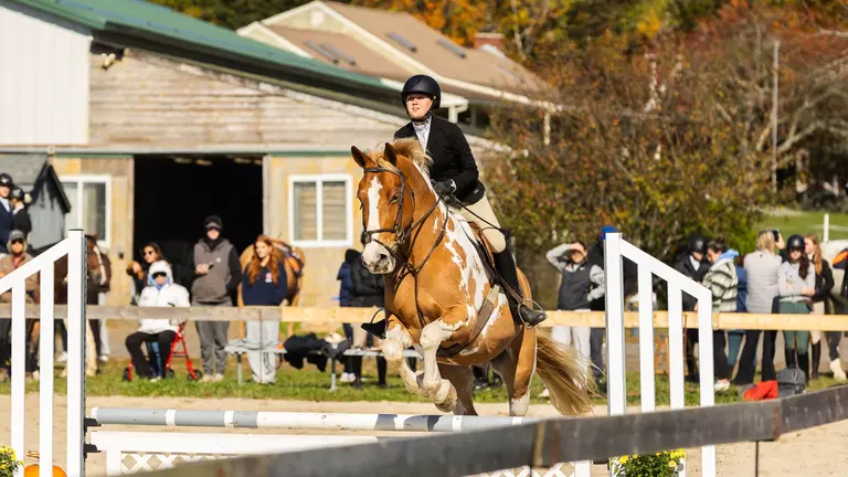 Winthrop Claims High Point Rider, Equestrian Finished Fourth at URI Show