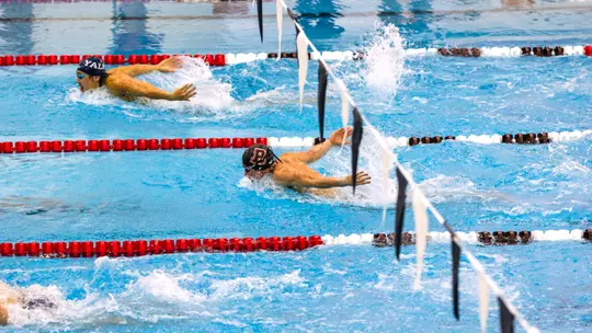 Brown Men's Swimming & Diving vs. Yale
