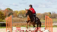 Equestrian Closes Out Season at URI Show