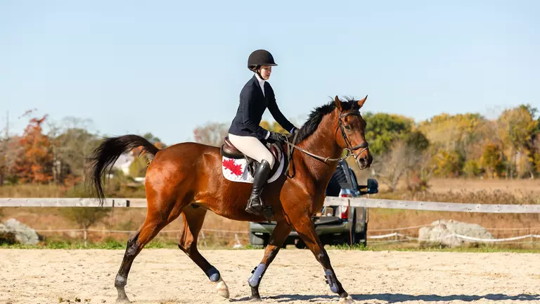 Equestrian Takes Fourth at JWU Show