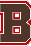 Brown logo without trademark