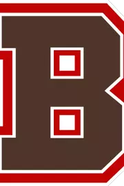 Brown logo without trademark