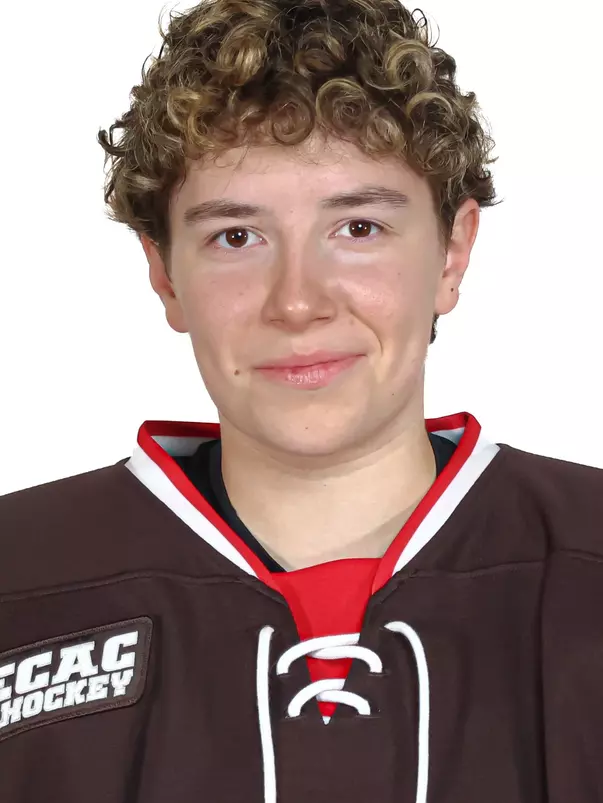 Bogi Bahiczki-Toth