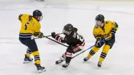 Women's Hockey's Season Comes to a Close with Hard-Fought Loss at Quinnipiac in ECAC Quarterfinals
