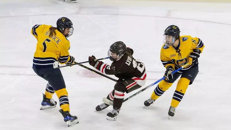 Women's Hockey's Season Comes to a Close with Hard-Fought Loss at Quinnipiac in ECAC Quarterfinals