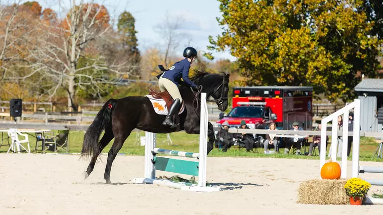Equestrian Takes Third at Regionals