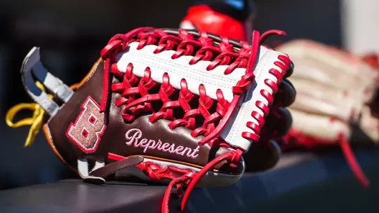 Softball glove on dugout railing