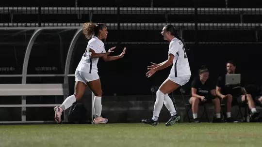 Goal Celebration