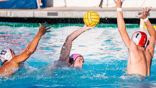 MWPOLO