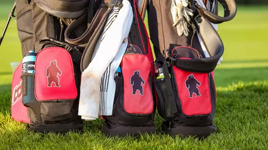 Brown Golf Bags
