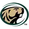 Bemidji State University Logo