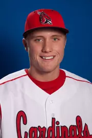 Kolbrin Vitek