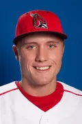 Kolbrin Vitek