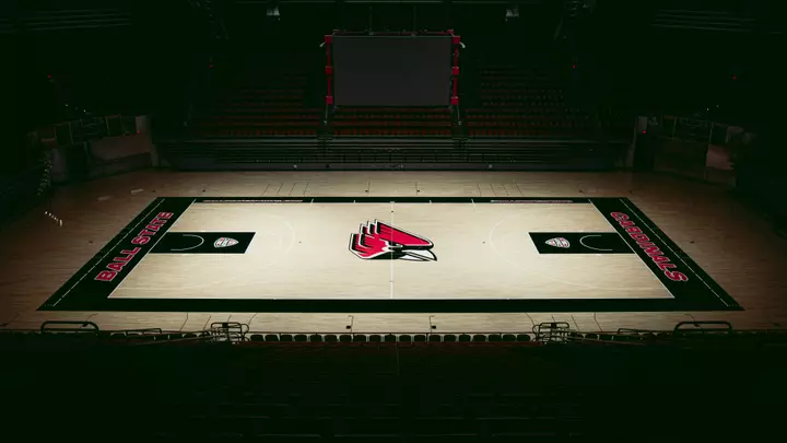 Worthen Arena Court
