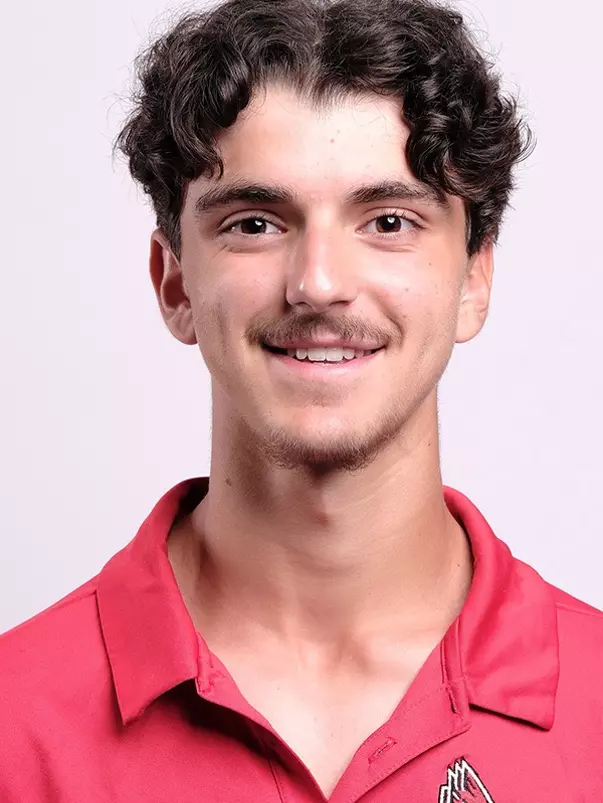 Andrei Caragea