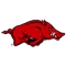 University of Arkansas Logo