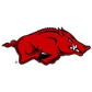 University of Arkansas Logo