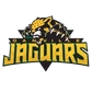 Danville Area Community College Logo