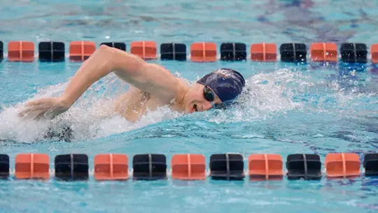Image related to Men’s Swimming & Diving Downs Holy Cross 163-137 in Season Debut