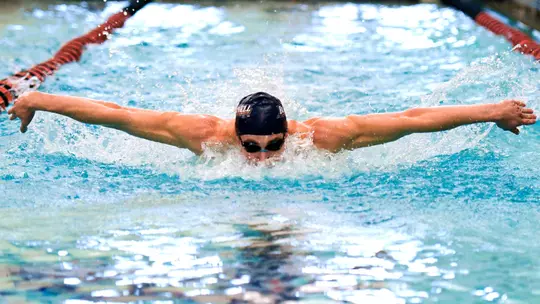Image related to Men's Swimming and Diving Beats American and Lafayette; Falls to Navy in Quad Meet