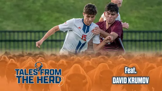 David Krumov Tales from the Herd