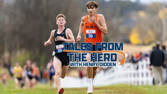 Henry Didden - Tales from the Herd