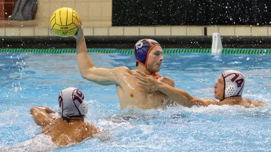 Tyler Hedblad