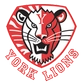 York University Logo