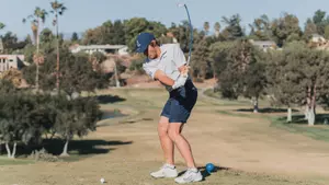 Derek L Swing