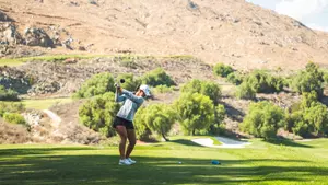 lisa shimmon