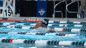 swim-mpsf-2