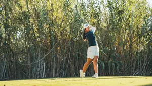 Shuy cao