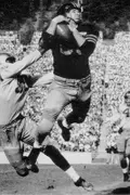Jim Hanifan