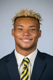 2017 Demetris Robertson Head Shot