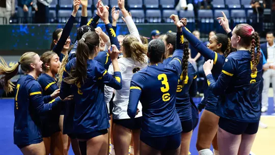 Cal Volleyball Celebrates Win Against Stanford