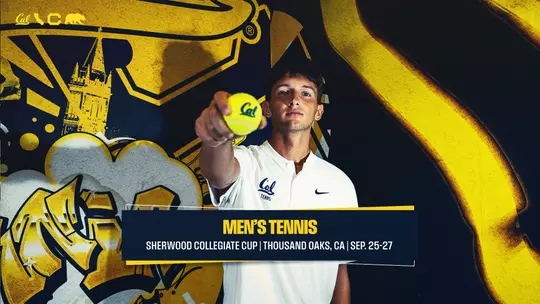 MTEN - Sherwood Preview