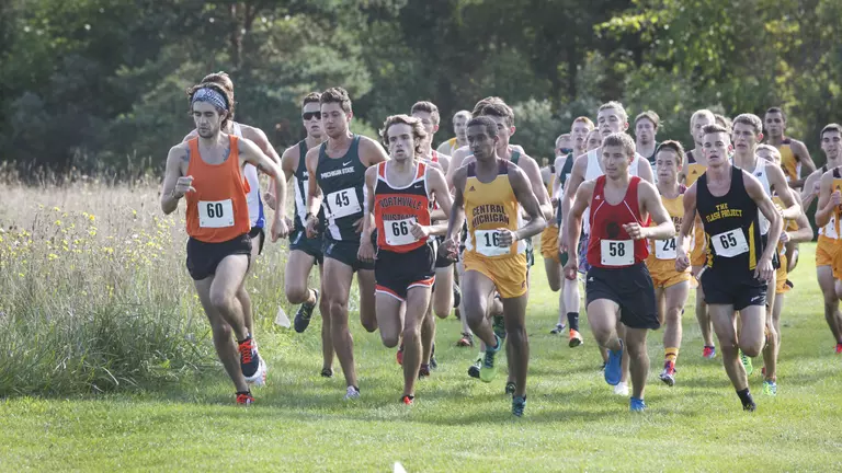 Cross Country Heads to Wisconsin for NCAA Regional