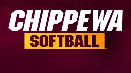 Softball Graphic