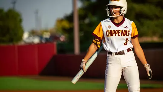 Softball Releases 2026 Schedule Image