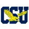 Coppin State Logo