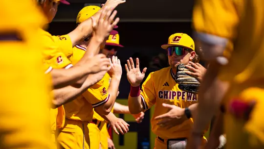 Baseball Tickets on Sale Now Image