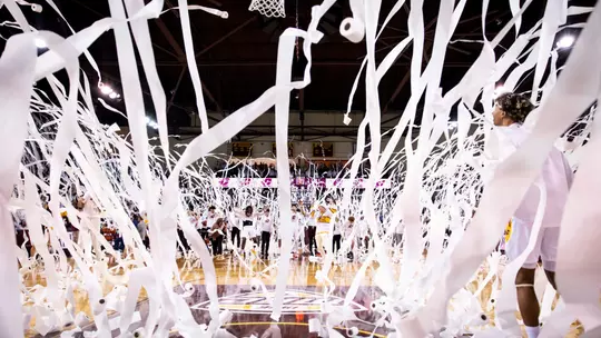 Raining Toilet Paper Photo